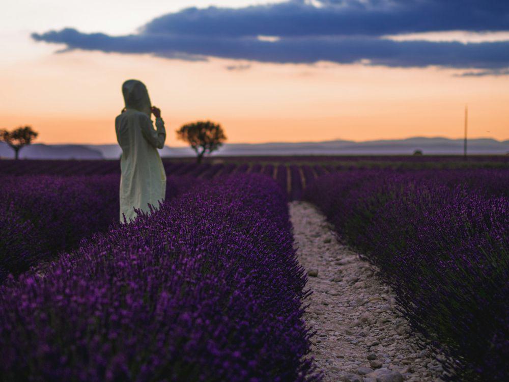 5 Kebun Lavender Terindah Dunia yang Wajib Masuk Bucket List Liburanmu