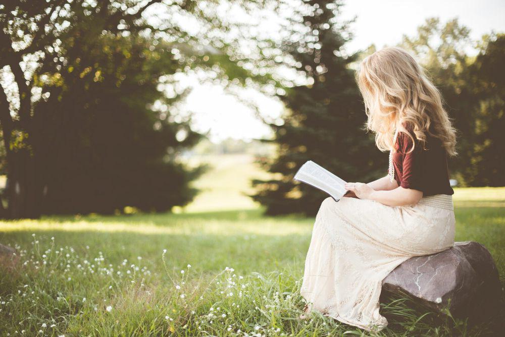 5 Rekomendasi Novel dengan Sudut Pandang Nonmanusia