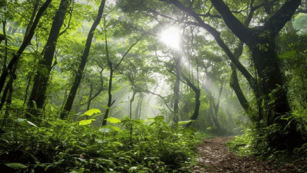 7 Fakta Menarik Bioma Daratan yang Jarang Orang Ketahui