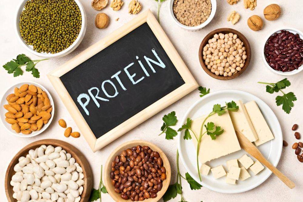 ilustrasi protein nabati (freepik.com/freepik)