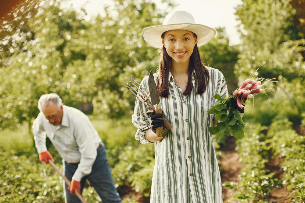 5 Langkah Mudah Membangun Zero Waste Garden di Rumah