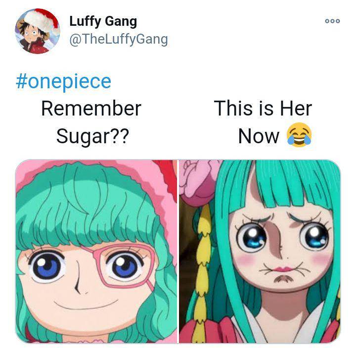 meme Hiyori Kozuki (reddit.com/user/TheLuffyGang)
