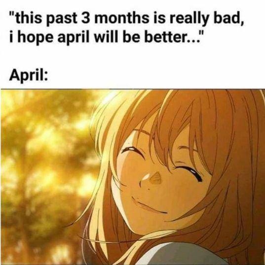 meme Kaori Your Lie in April (reddit.com/user/Aztec_Reaper)