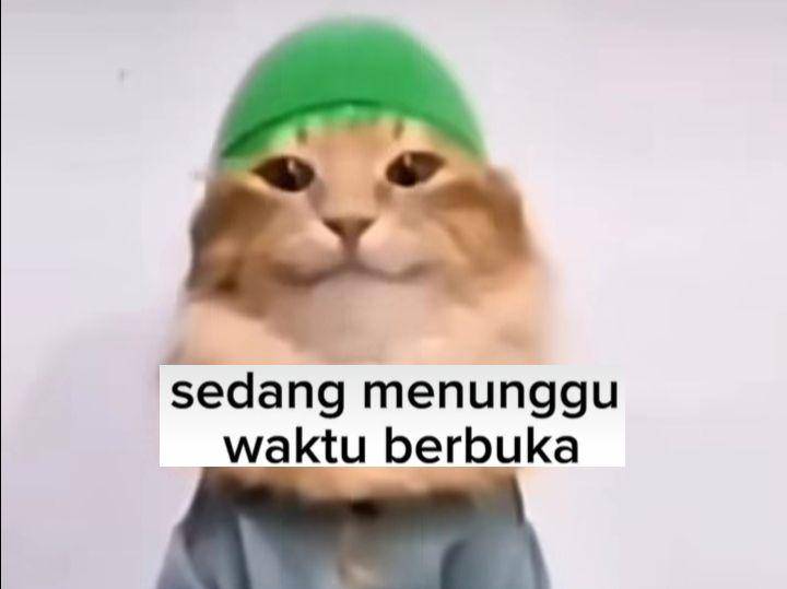 meme kucing viral (instagram.com/meme.comic.lovers)