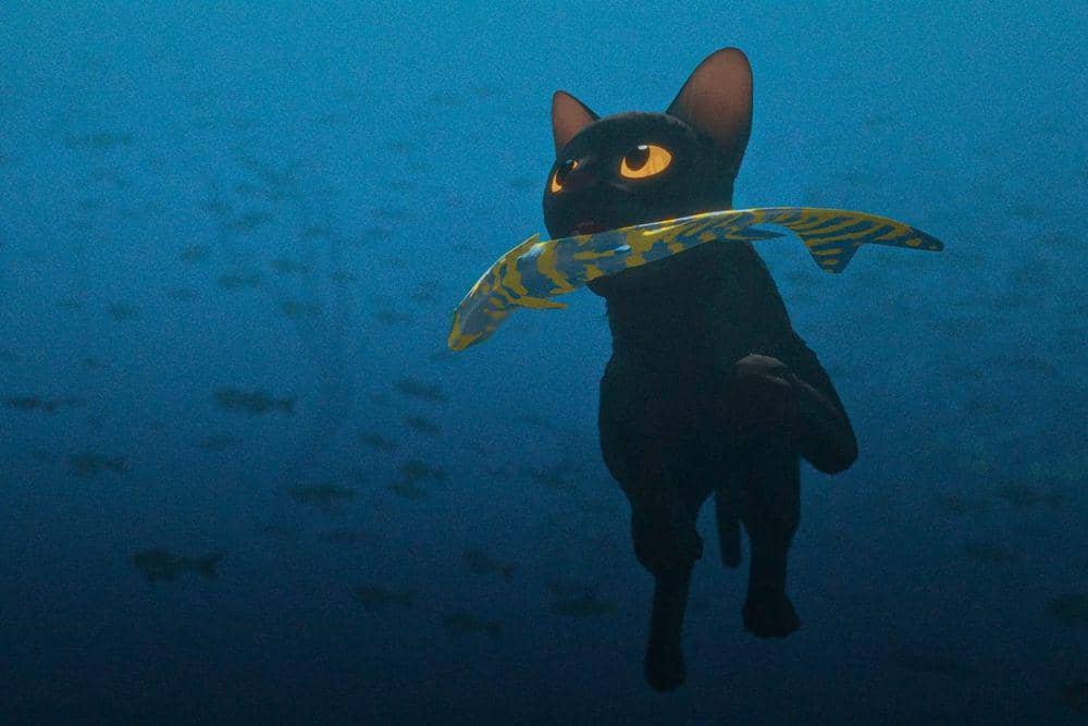 Flow (dok. Janus Films/Flow)