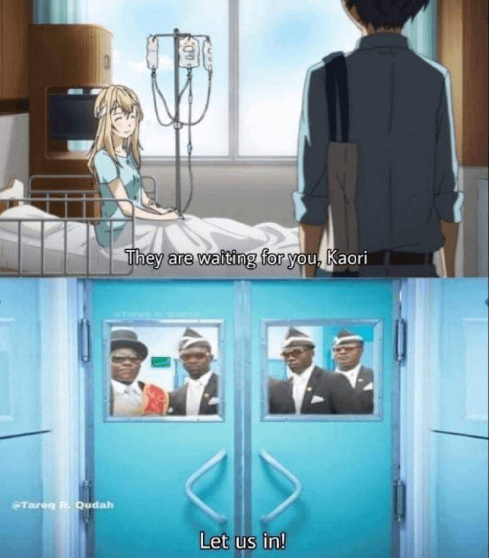 meme Kaori Your Lie in April (reddit.com/user/CookLiving)