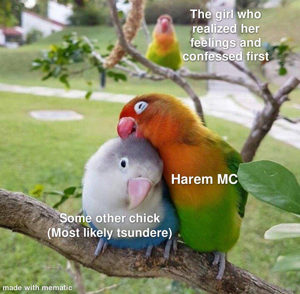 meme Onodera Nisekoi (reddit.com/r/Animemes)