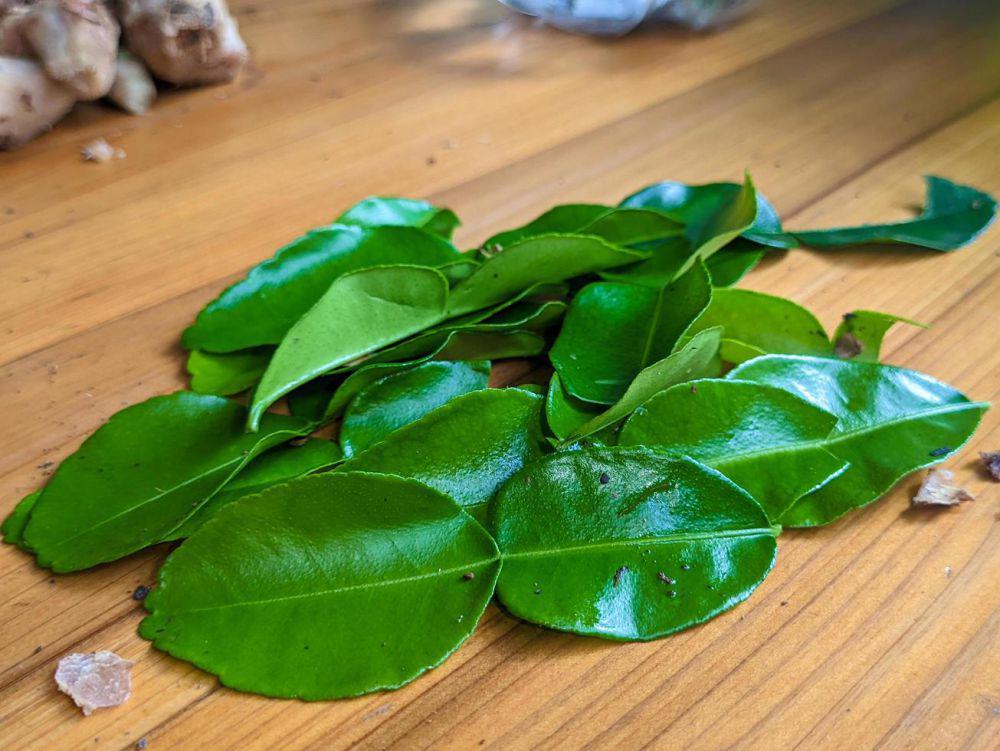 Cara Menyimpan Daun Jeruk agar Awet, Tetap Segar Lebih Lama