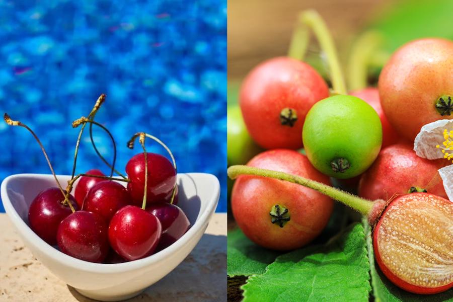 [QUIZ] Yakin Kamu Bisa Membedakan Cherry dan Kersen Ini?