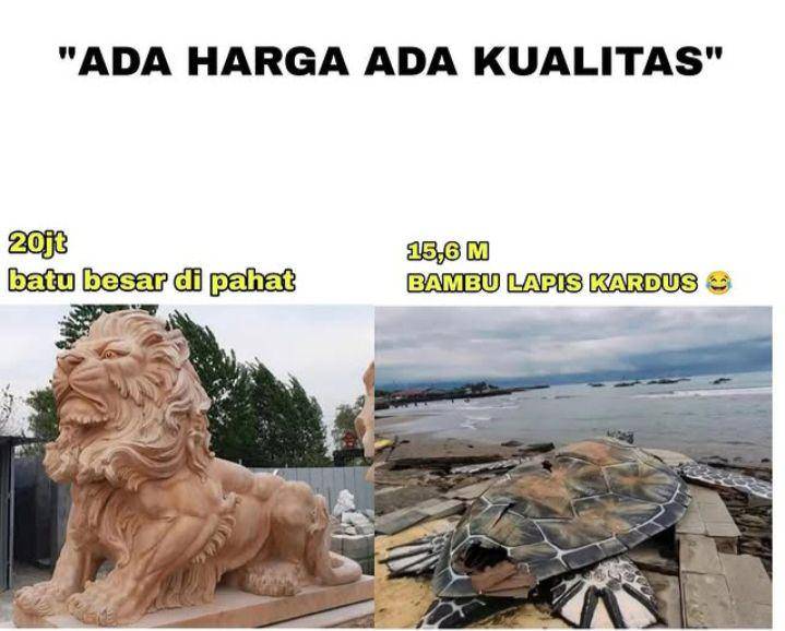 meme patung penyu dari kardus (instagram.com/lawakscience)
