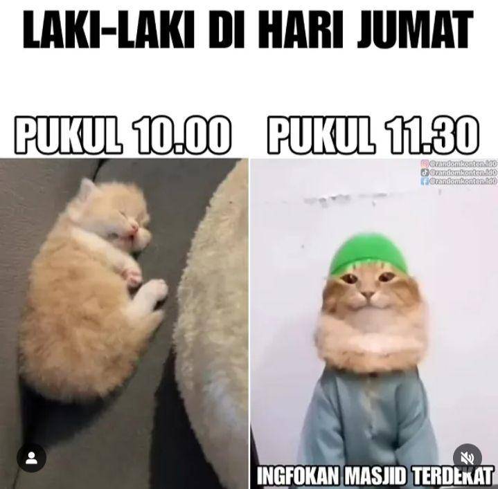 meme kucing viral (instagram.com/randomkonten.id0)