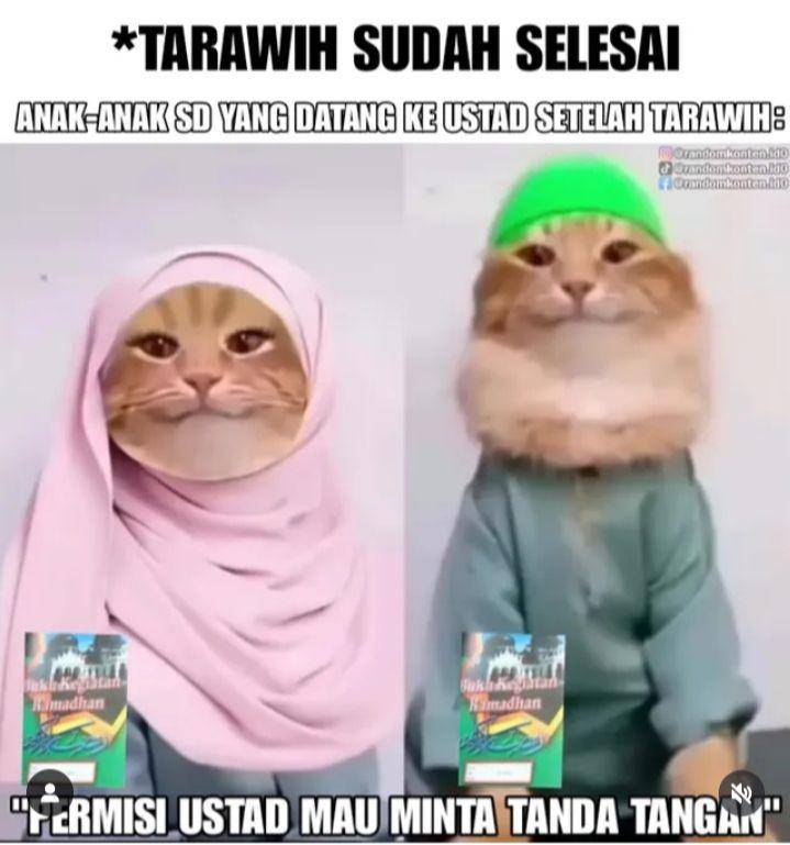 meme kucing viral (instagram.com/randomkonten.id0)