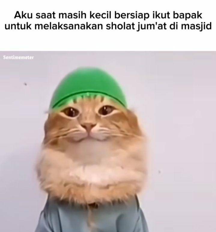 meme kucing viral (instagram.com/sentimemeter)
