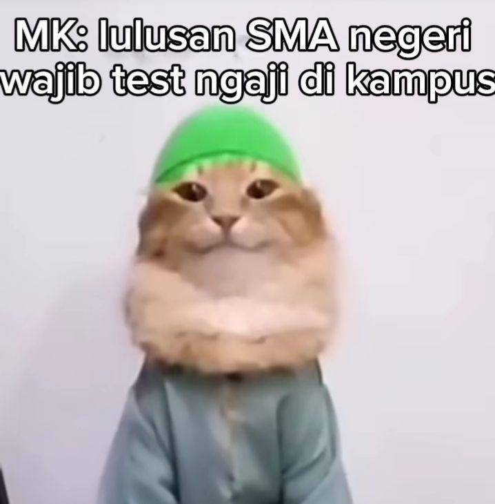 meme kucing viral (instagram.com/unesartir)