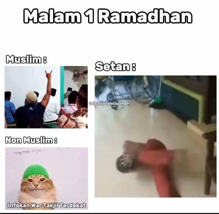 meme kucing viral (instagram.com/memeislam.id)