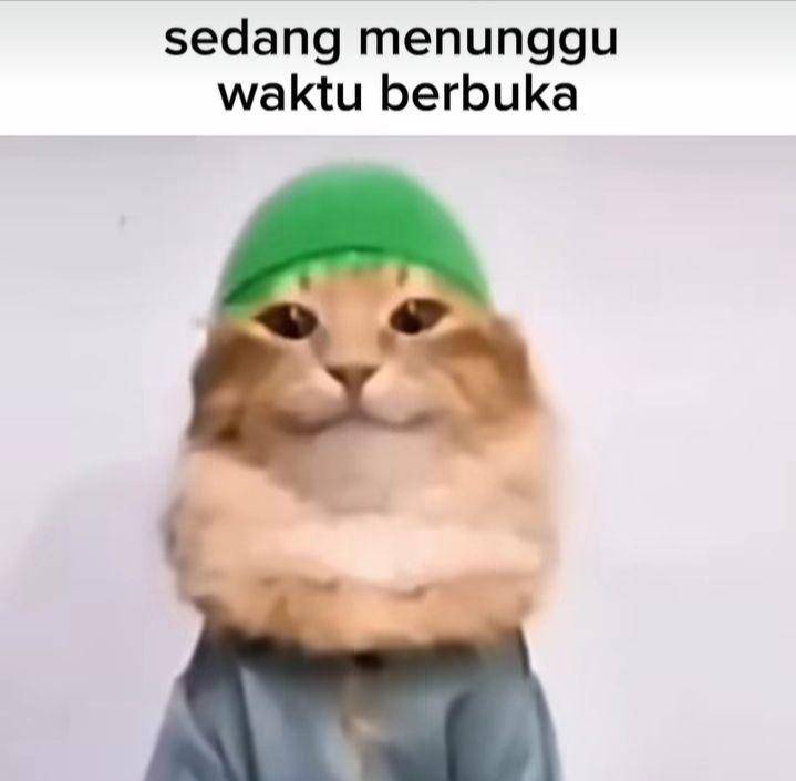 meme kucing viral (instagram.com/meme.comic.lovers)