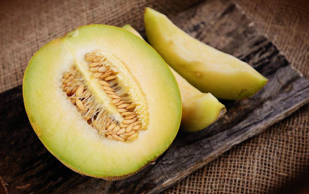 Ilustrasi bahan utama buah melon (pixabay.com/Congerdesign)