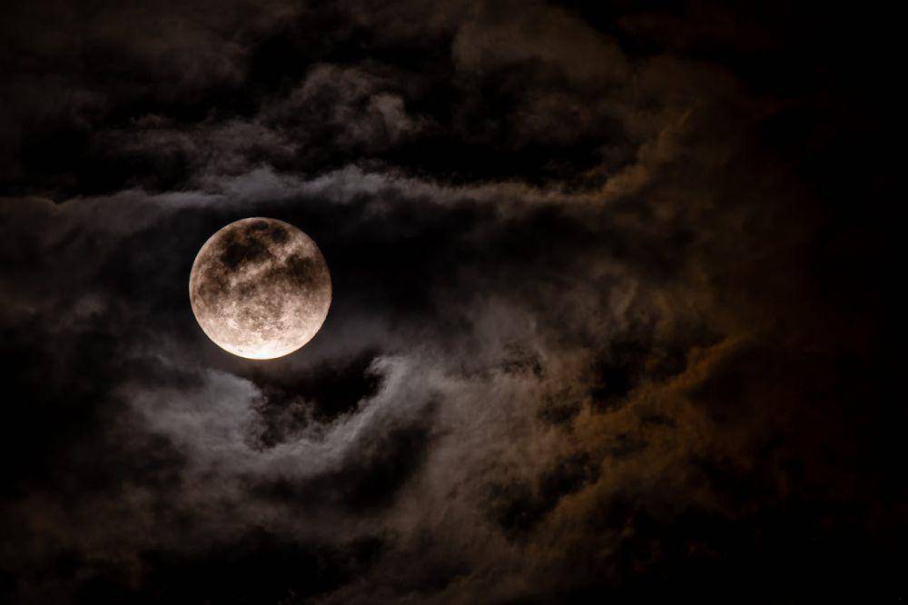 ilustrasi worm moon (pexels.com/Brett Sayles)