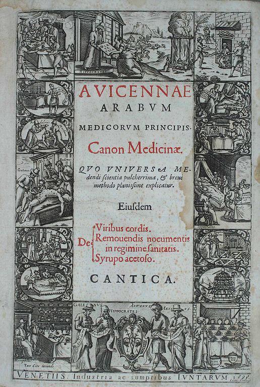 manuskrip The Canon of Medicine yang diterjemahkan ke dalam bahasa Italia (commons.wikimedia.org/Diversos)