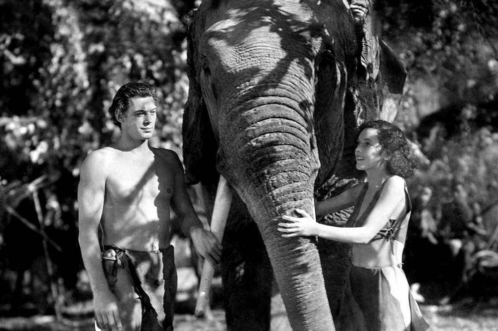 cuplikan adegan dalam film yang disutradarai Cedric Gibbons (dok. Metro-Goldwyn-Mayer/Tarzan and His Mate)