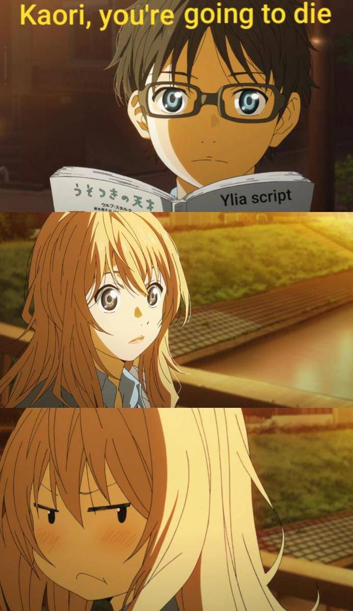 meme Your Lie in April (reddit.com/user/Itsumo-tsukarete)