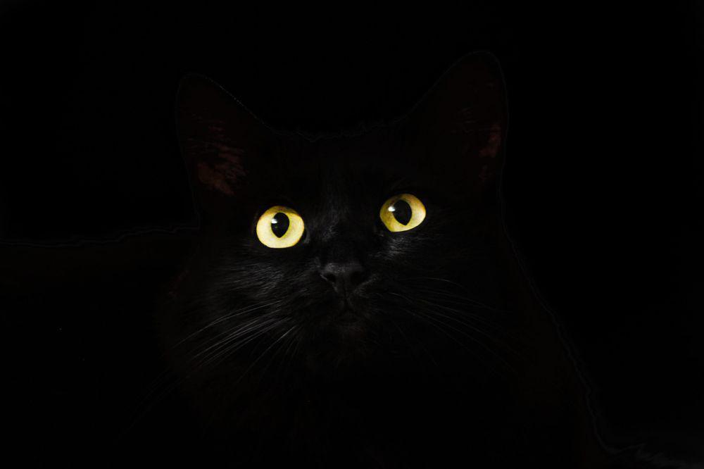 Mengapa Hitam Bukan Warna? Ini Penjelasan Menurut Fisika