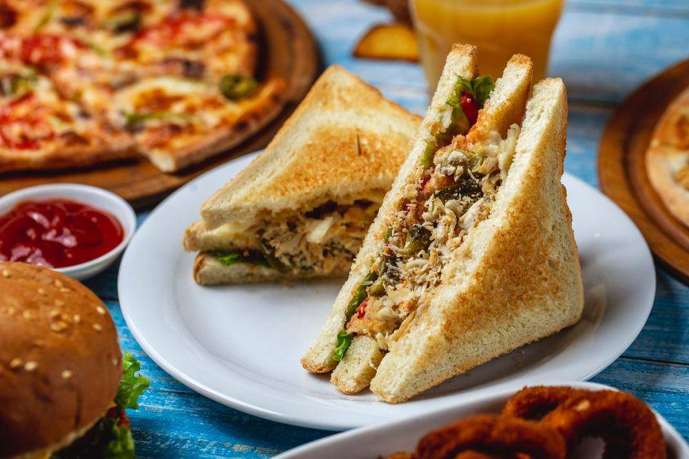 ilustrasi sandwich ayam suwir (freepik.com/stockking)