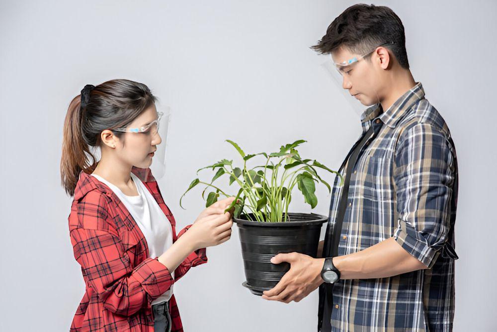 7 Alasan Mengapa Berkebun Bisa Menjadi Terapi bagi Pasangan, Cobain!