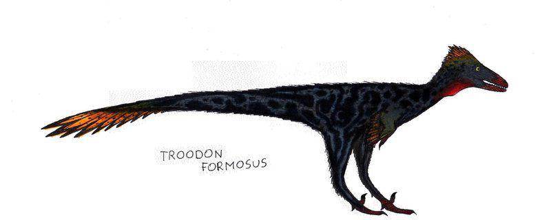 Troodon (commons.wikimedia.org/Danny Cicchetti)