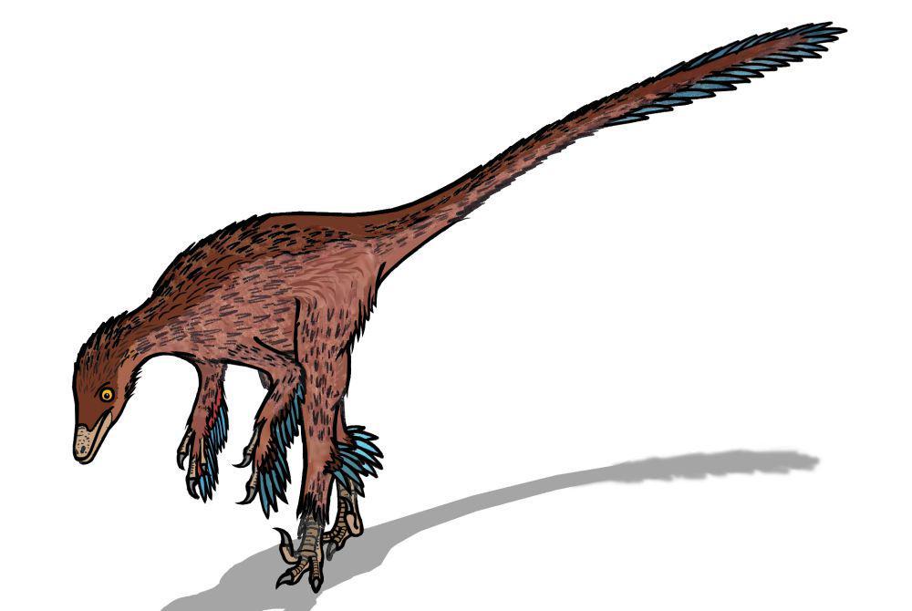 5 Fakta Menarik Troodon, Dikenal sebagai Dinosaurus Terpintar