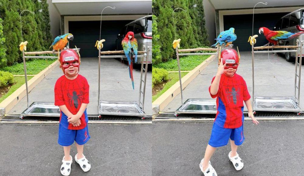 7 Potret Cipung Main Bareng Apple dan Banana Si Burung Macaw