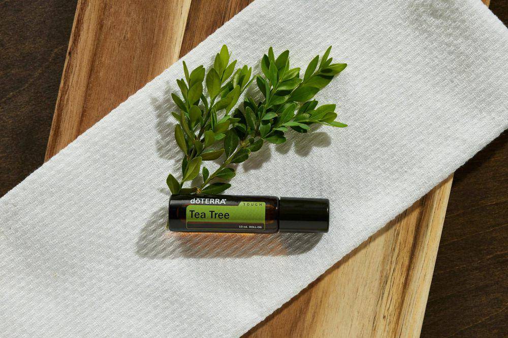 ilustrasi tea tree oil (pexels.com/doTERRA International, LLC)