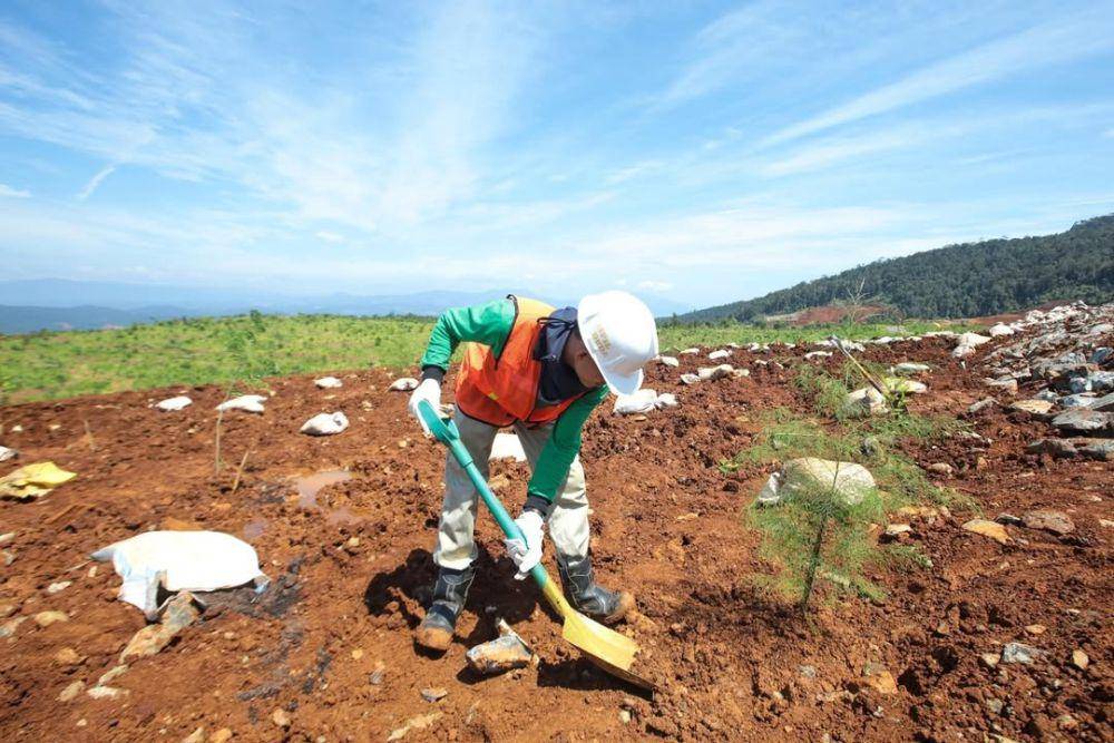 reklamasi dan rehabilitasi lahan pascatambang PT Vale Indonesia (instagram.com/ptvaleindonesia)