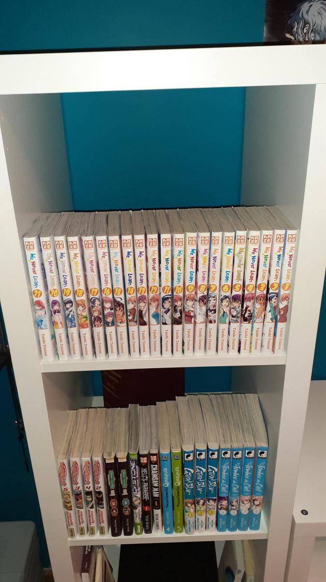 potret koleksi We Never Learn (reddit.com/user/Fantom_73)