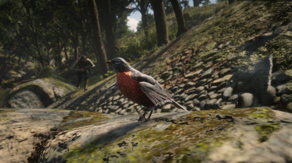 Red Dead Redemption 2: Tips Cari Chipmunk, Opossum, Oriole, dan Robin