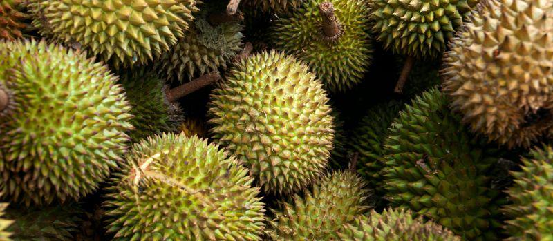 9 Agenda Wisata Jogja Bulan April 2025, Ada Pesta Durian!