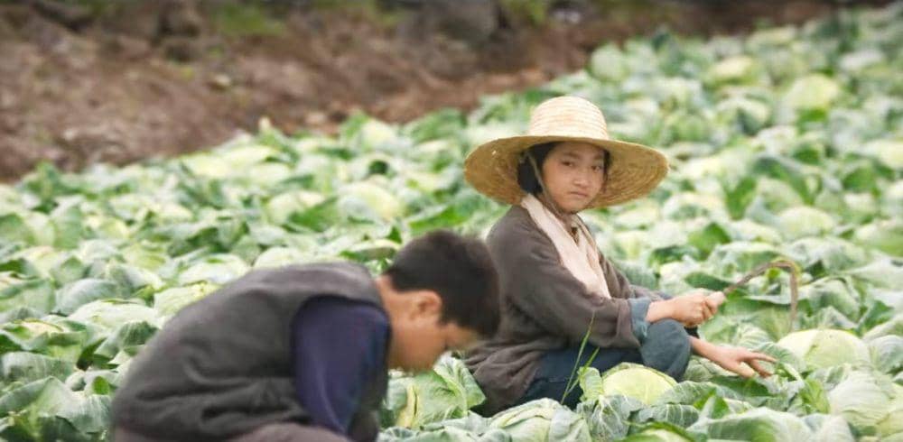 still cut drakor When Life Gives You Tangerines (dok.netflix/When Life Gives You Tangerines)
