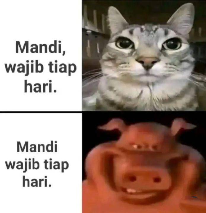 meme mandi wajib (instagram.com/republiklucu.indonesia)
