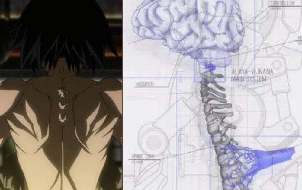 Alaya-Vijnana System(dok. Sunrise/Mobile Suit Gundam: Iron-Blooded Orphans)