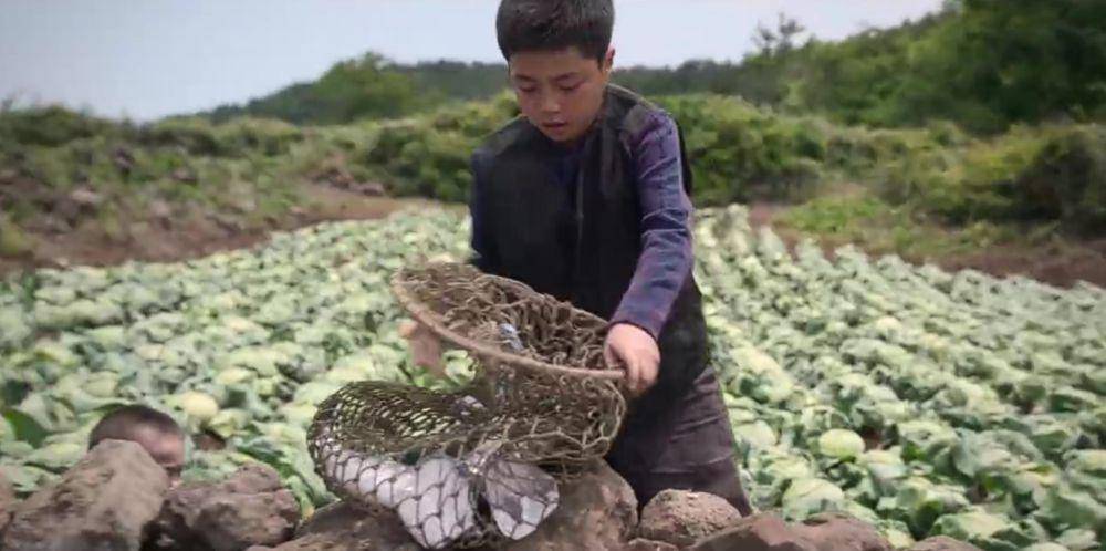 cuplikan drama When Life Gives You Tangerines (instagram.com/netflixkr)