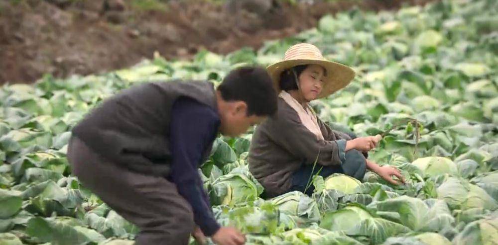 cuplikan drama When Life Gives You Tangerines (instagram.com/netflixkr)