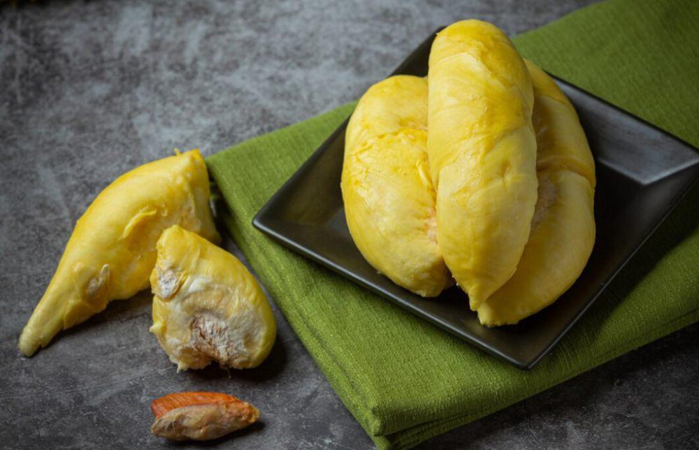ilustrasi durian (freepik.com/jcomp)