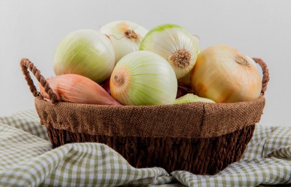 ilustrasi bawang bombay (freepik.com/stockking)