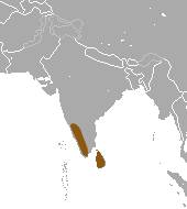 ilustrasi peta persebaran garangan leher belang (commons.wikimedia.org/Chermundy)