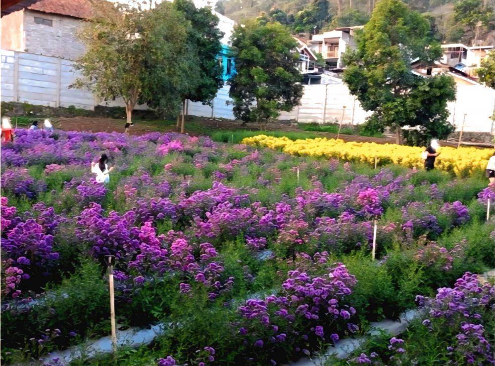 Gia's Grange (instagram.com/giascafe.lembang)