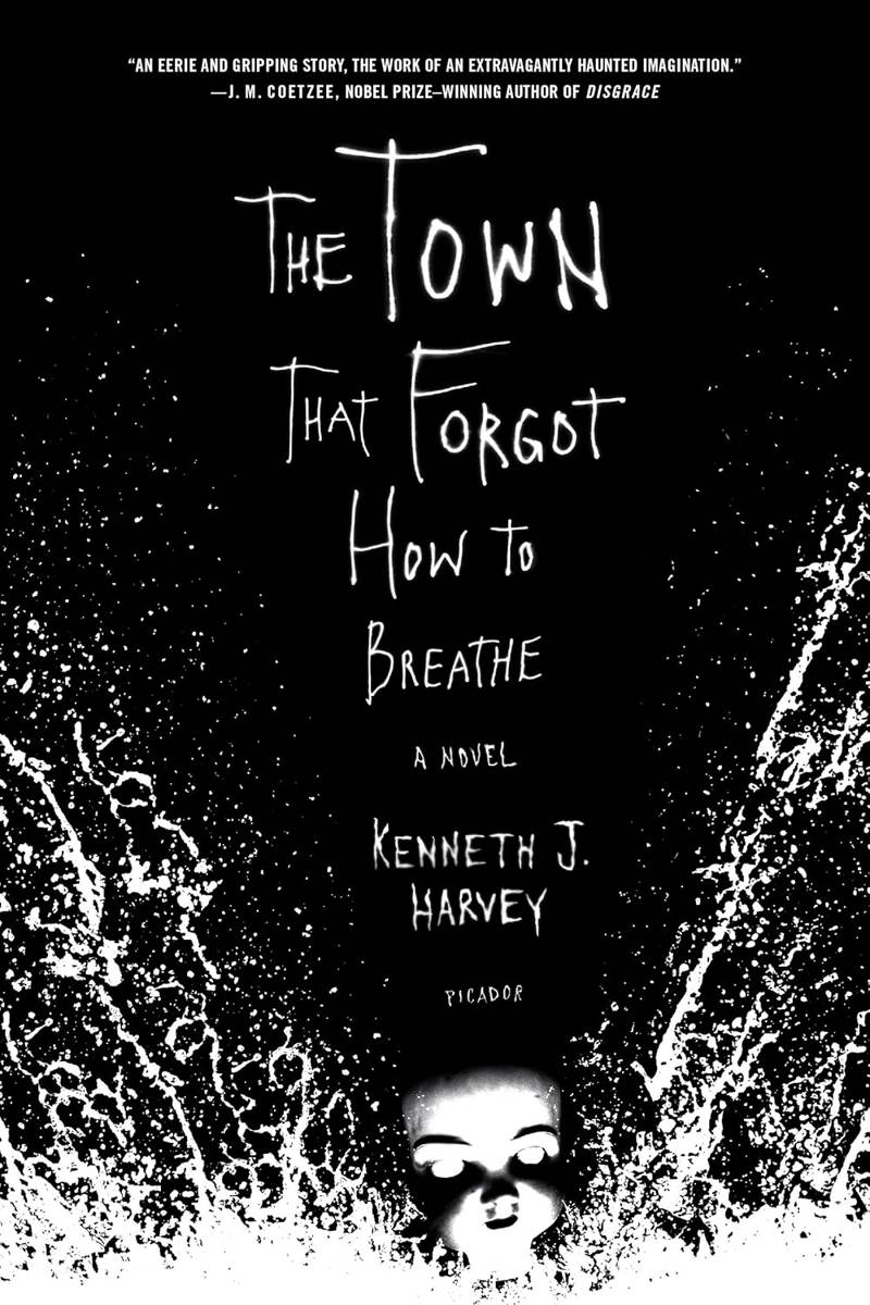 buku The Town That Forgot How to Breathe (macmillan.com)