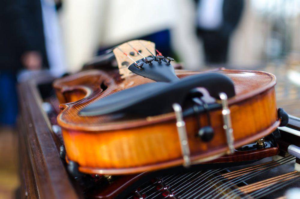 ilustrasi alat musik biola (pexels.com/Lukas)