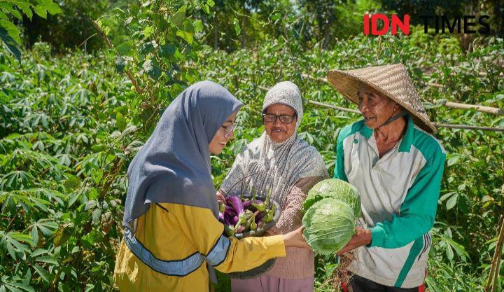 Program Pertanian Organik di Dompu Disebut Tingkatkan Hasil Panen