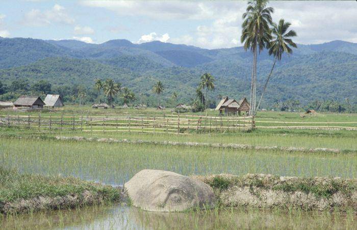 Lembah Bada (https://id.wikipedia.org/)