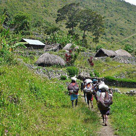 10 Lembah Paling Indah di Indonesia yang Gak Kalah dari Luar Negeri